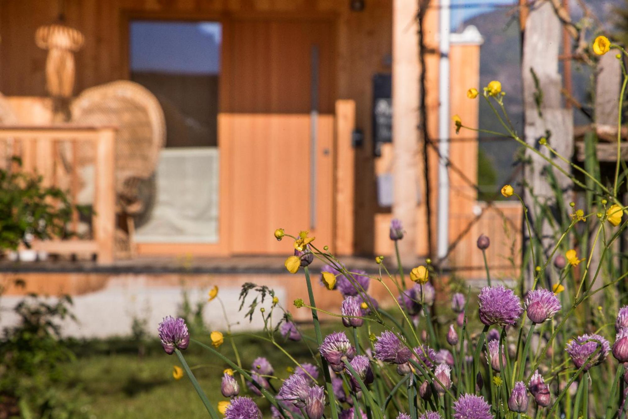 Alpegg Chalets Waidring Exterior foto